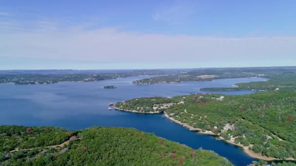 Drone Footage Arbres Hiver Enneigé — Video