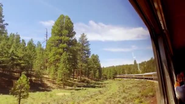 Train Way Grand Canyon Looking Out Window Trees Grass Beautiful — Stock Video