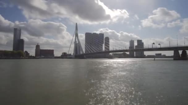 Rotterdam Erasmus Bridge River Timelapse — Wideo stockowe