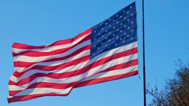 青い空に向かって風に吹かれる本物のアメリカ国旗の星と形 — ストック動画