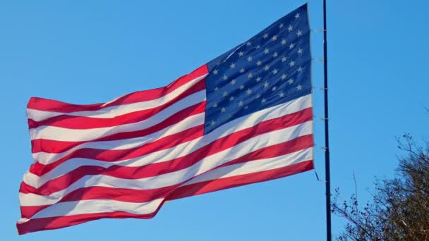 Les Étoiles Les Stipes Vrai Drapeau Américain Soufflant Dans Vent — Video