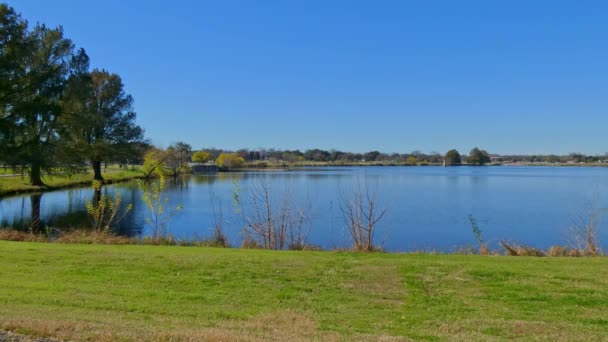 Beautiful Lake View Park Some Trees Blue Sky Green Grass — Stock Video