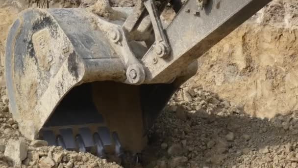 Close Excavators Bucket Spreading Dirt Building Site — Stock Video