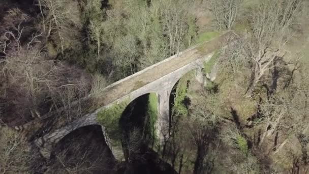 Imagini Aeriene Den Finella Dezafectat Viaductul Într Însorită Din Aberdeenshire — Videoclip de stoc