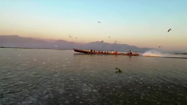 Mianmar Inle Lake Birds Etetés Sebesség Hajó Sok — Stock videók
