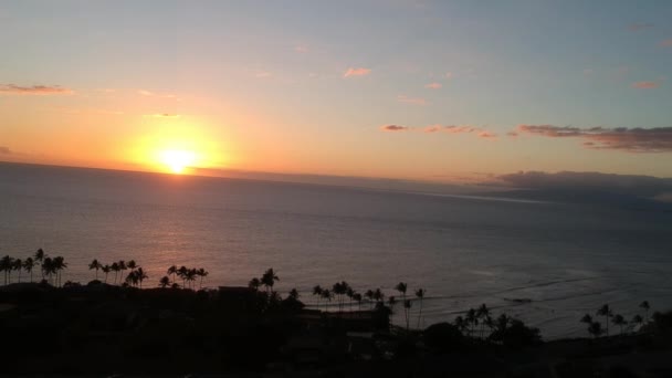 Aeriële Drone Voeding Van Zuiveau Van Kosten Kihei Maui Hawaii — Stockvideo