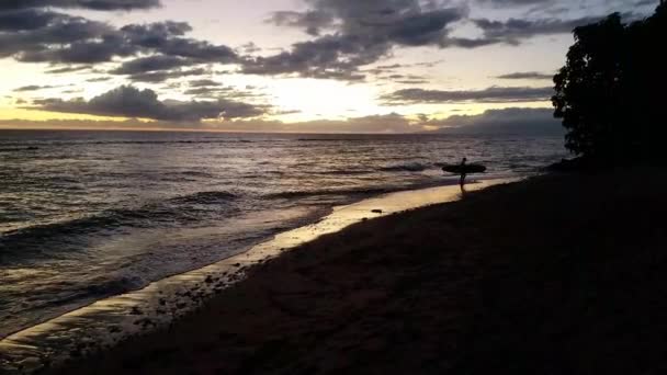 Sand Beach Sene Surfer Περπατώντας Έξω Από Νερό Κατά Διάρκεια — Αρχείο Βίντεο