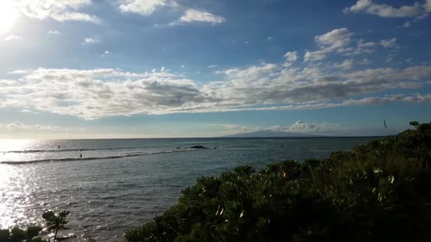 Beach View Sunset Surfers Stand Paddleboarders Coast Kihei Maui Hawaii — Stock Video