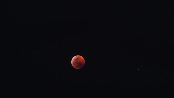 Timelapse Del Sorgere Della Luna Sangue Del Lupo — Video Stock