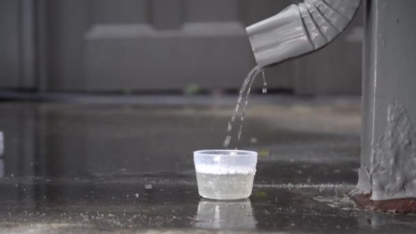 Agua Lluvia Cañón Que Acumula Una Taza 120 Fps — Vídeos de Stock