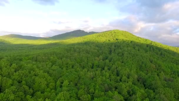 Virginia Daki Blue Ridge Dağları Zincirinin Bir Parçası Olan Shenandoah — Stok video
