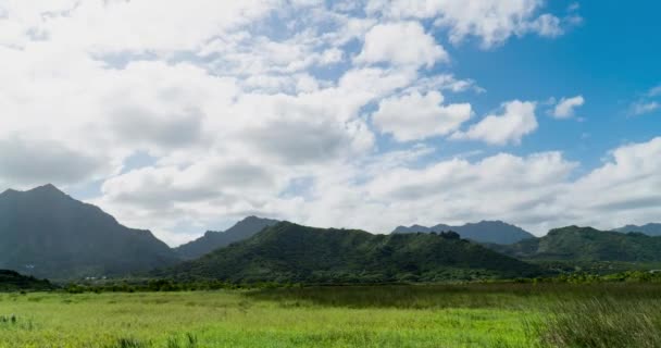 Idő Elrepült Kawainui Mocsár Felett Kailua Hawaii — Stock videók