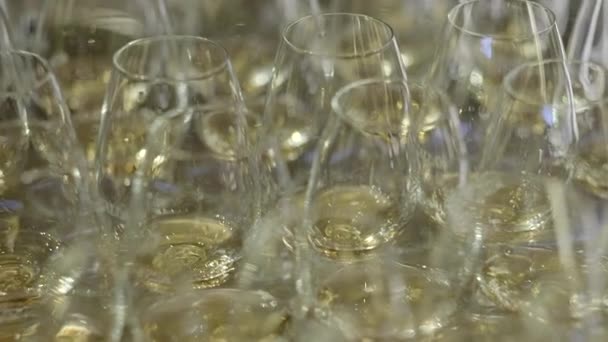 Πολλά Ποτήρια Scotch Whisky Tasting Τοποθετούνται Μαζί Ένα Δείγμα Ουίσκι — Αρχείο Βίντεο