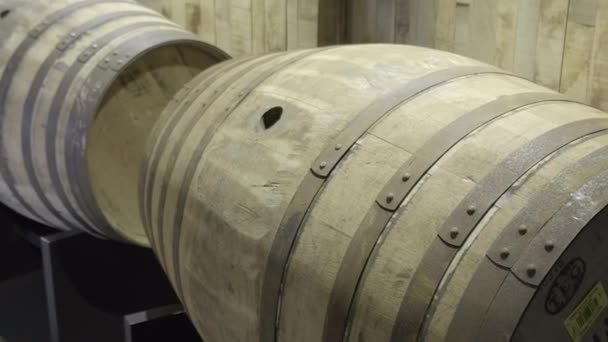 Пустые Дубовые Бочки Шотландского Виски Выставляются Ряд Бокам Искусственным Освещением — стоковое видео