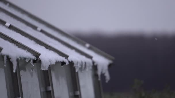1月の温室で霜 — ストック動画