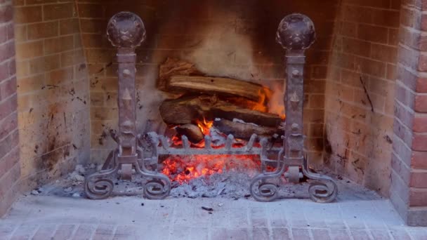 Primer Plano Fuego Leña Ardiendo Una Chimenea Estilo Antiguo Con — Vídeo de stock