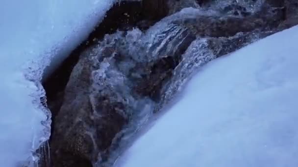 雪と氷に囲まれた小川に沿って水をカスケード — ストック動画