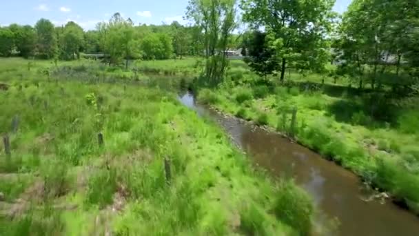 在郊区环境湿地恢复过程中 空中中弹沿着一条小河飞行 并在树线上方爬升 — 图库视频影像