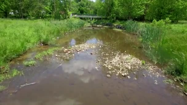 クリークの水は 郊外の環境湿地の復元でクリークを飛び越える低空中ショットで青い空を反映しています — ストック動画