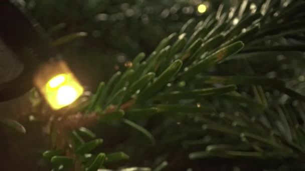 Ultrabreite Nahaufnahme Durch Den Weihnachtsbaum — Stockvideo