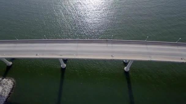 Вид Высоты Птичьего Полета Смотрящий Речной Мост Чайку Машину Проезжающую — стоковое видео