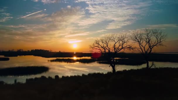 Aerial Shot Peaceful Colorful Sunset Moving Two Dead Trees Edge — Stock Video