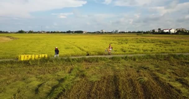 Imágenes Drones Vietnam Durante Temporada Lluvias Pases Montaña Arrozales Bahía — Vídeo de stock