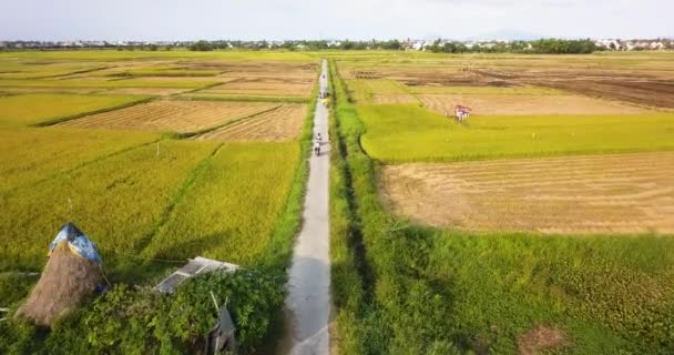 Filmati Droni Del Vietnam Durante Stagione Delle Piogge Passi Montagna — Video Stock