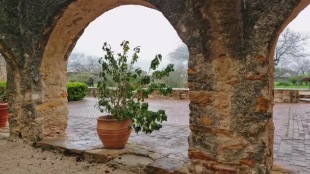 Olhando Através Velhos Arcos Missão Vasos Plantas Composto Colorido — Vídeo de Stock