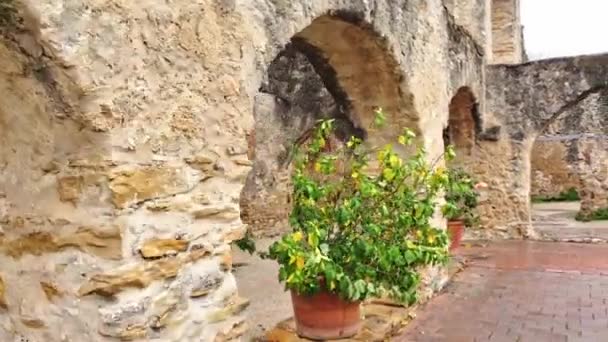 Chodzenie Przez Stare Łuki Misji Doniczki Roślin Kolorowe Cegły Pracy — Wideo stockowe