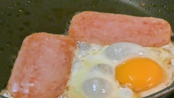 Spam Und Brutzeln Einer Pfanne Eier Sonnige Seite Nach Oben — Stockvideo