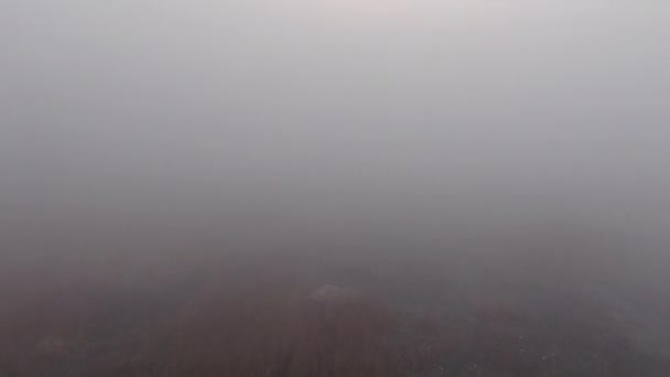 Слепая Тростниковая Кровать Тумане — стоковое видео
