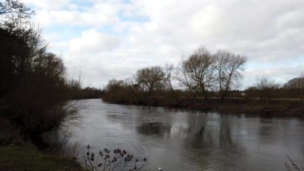 Ross Wye Δίπλα Στο Ποτάμι Στις Αρχές Της Άνοιξης — Αρχείο Βίντεο