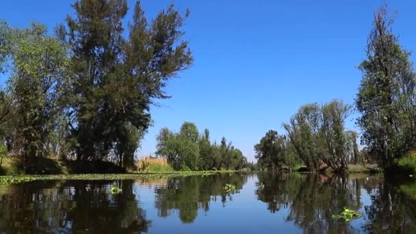 Słoneczny Dzień Błękitnym Niebem Xochimilco Meksyk — Wideo stockowe