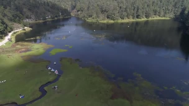 Jezioro Lesie Drone View Wolność Uczucie — Wideo stockowe