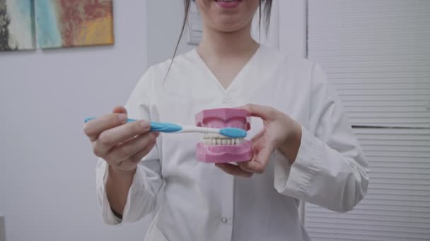 Médico Mostrando Cómo Cepillar Correctamente Los Dientes Modelo Deantal Con — Vídeos de Stock