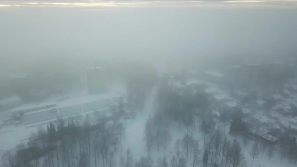 Winterwonderland Luchtbeelden Met Besneeuwde Huizen Parken — Stockvideo