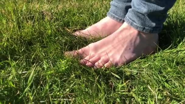 Primer Plano Plano Los Pies Masculinos Caminando Desnudos Hierba Verde — Vídeo de stock