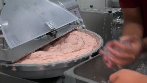 Λουκάνικα Επεξεργασία Κρέατος Εργοστάσιο Παραγωγής Χειροποίητο Καπνιστό Βρασμένο Περιτύλιγμα Κιμά — Αρχείο Βίντεο