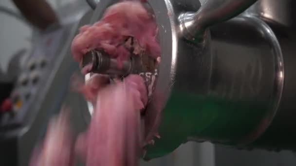 Sosisler Şleme Fabrikası Yapımı Haşlanmış Tütsülenmiş Kıyma Baharatı — Stok video