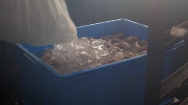 Wurst Fleisch Prozess Fabrik Produktion Handgemachte Geräucherte Gekochte Wrap Minzemeat — Stockvideo
