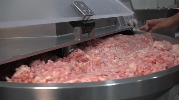 Embutidos Proceso Carne Fábrica Producción Hecho Mano Envoltura Hervida Ahumada — Vídeos de Stock