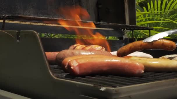 Bbqサニーデーソーセージ焼き料理男性がバーベキューにソーセージを敷く火の生料理 — ストック動画