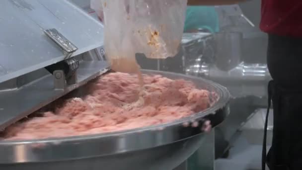 Enchidos Processo Carne Produção Fábrica Envoltório Cozido Defumado Artesanal Mincemeat — Vídeo de Stock
