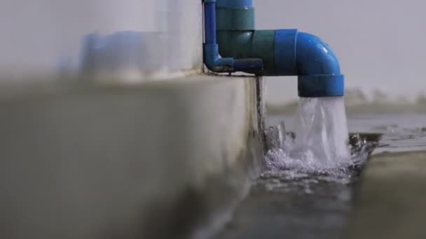 激しい雨は青い廃パイプから強い水の流れを引き起こし — ストック動画
