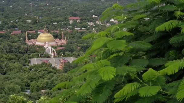 Blick Auf Eine Burmesische Akademie Myanmar Mit Grünen Blättern Davor — Stockvideo