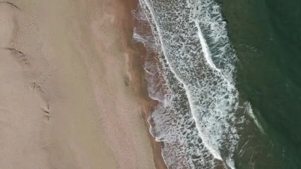 Птицы Летают Над Волнами Пляже Воздушное Движение Вперед — стоковое видео