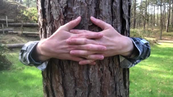 靠近两个白人男性的胳膊和双手 拥抱着森林中央的树干 爱护环境的概念和砍伐森林对生态系统的影响 — 图库视频影像