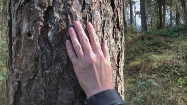 의나무 껍질을 손으로 미끄러지게 사격을 연결되어 있다는 한다는 — 비디오