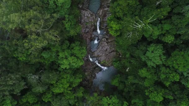 熱帯雨林のいくつかの小さな滝の空中 ジャングルの小さな滝のカップルのトップダウンドローンショット — ストック動画